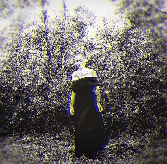 Meet your Posher, Tressie - Picture 1 of 1